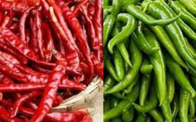 মরিচের দাম বেড়েছে