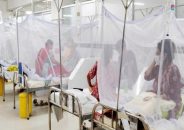 হাসপাতালে ৭৭ ডেঙ্গুরোগী