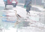 সড়কের বেহাল দশায় ভোগান্তিতে ২৫ গ্রামের মানুষ