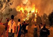 ক্যালিফোর্নিয়ায় দাবানল, হাজারো বাসিন্দাকে ঘর ছাড়ার নির্দেশ