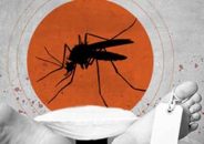 চট্টগ্রামে ডেঙ্গু আক্রান্ত হয়ে জাকারিয়া তুষার নামে যুবকের মৃত্যু হয়েছে