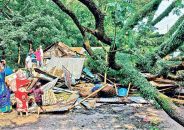 ঘূর্ণিঝড় সিত্রাংয়ের:চট্টগ্রামে রোপা আমন ও শীতকালীন সবজির ব্যাপক ক্ষয়ক্ষতি হয়েছে