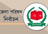 জেলা পরিষদ নির্বাচনে চেয়ারম্যান পদে ৩৪টির মধ্যে ১০টিতে হেরে যাওয়ার জন্য কয়েকটি কারণ দায়ী বলে মনে করছেন আওয়ামী লীগের তৃণমূলের নেতারা