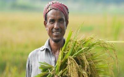 জাতীয় উৎপাদনশীলতা দিবস আজ