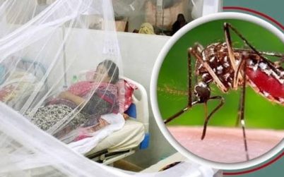 ডেঙ্গিজ্বরে আক্রান্ত হয়ে গত ২৪ ঘণ্টায় আরও ৫৫৯ জন হাসপাতালে ভর্তি