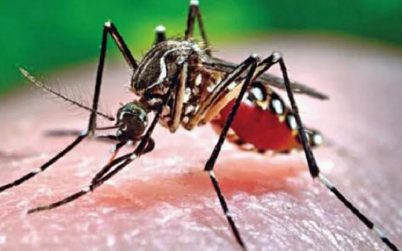 গত ২৪ ঘণ্টায় রেকর্ড সংখ্যক, ১৪৭ জন ডেঙ্গু আক্রান্ত রোগী শনাক্ত হয়েছেন