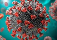 দেশে গত ২৪ ঘণ্টায় করোনায় কারো মৃত্যু হয়নি