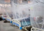 ডেঙ্গি জ্বরে আক্রান্ত হয়ে গত ২৪ ঘণ্টায় আরও ৮৯ জন হাসপাতালে ভর্তি