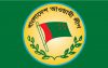 সারা দেশে আজ শনিবার বর্ণাঢ্য বিজয় শোভাযাত্রা করবে আওয়ামী লীগ