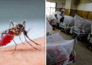 ডেঙ্গি জ্বরে আক্রান্ত হয়ে গত ২৪ ঘণ্টায় তিনজন মারা গেছেন