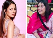 শিগগিরই বলিউডে পা রাখছেন ভারতের ছোট পর্দার জনপ্রিয় অভিনেত্রী শেহনাজ