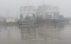 ঘন কুয়াশায় দৌলতদিয়া-পাটুরিয়া নৌপথে ফেরি চলাচল বন্ধ