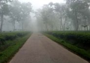 ৫.৬ ডিগ্রিতে কাঁপছে শ্রীমঙ্গল