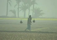 আবারও বাড়তে পারে শীত