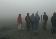 ৭ জেলায় শৈত্যপ্রবাহ: শ্রীমঙ্গলে সর্বনিম্ন তাপমাত্রা ৭.৬ ডিগ্রি
