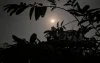কমতে পারে রাতের তাপমাত্রা