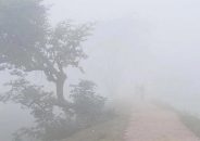 শীত বাড়বে ঢাকায়, ৪ জেলায় বইছে শৈত্যপ্রবাহ