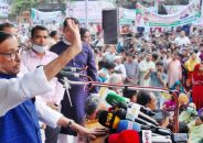 মির্জা ফখরুল তাকে দেখতে ভদ্রলোক; কিন্তু তার অন্তরে বিষ আর বিষ: কাদের