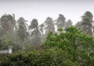 দুদিন পর বাড়তে পারে ঝড়-বৃষ্টি
