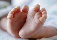 করিমগঞ্জে রাস্তার পাশে মিলল দুই নবজাতকের মরদেহ