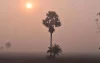রাজশাহী অঞ্চলে রাত-দিনের তাপমাত্রা আরও কমবে