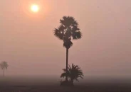 রাজশাহী অঞ্চলে রাত-দিনের তাপমাত্রা আরও কমবে