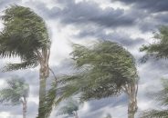 সন্ধ্যায় তিন বিভাগে কালবৈশাখীর আশঙ্কা