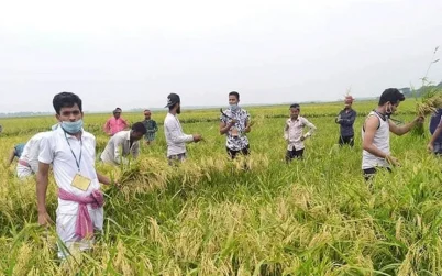 ছাত্রলীগকর্মীদের কৃষকের ধান কেটে ঘরে পৌঁছে দেওয়ার আহ্বান