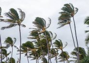 ৮০ কিলোমিটার বেগে ঝড়ের আভাস