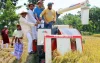 ৪০ একর জমির পাকা ধান কেটে দিল কৃষক লীগ