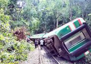 হঠাৎ ট্রেনের সামনে গাছ ভেঙে পড়ে, ব্রেক চাপলে ধাক্কা খেয়ে লাইনচ্যুত হয়