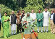 সবাই তিনটা করে, না পারলে অন্তত একটা গাছ লাগান: প্রধানমন্ত্রী