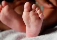 ডাস্টবিনে নবজাতক, কুকুরের মুখ থেকে উদ্ধার করলো পুলিশ