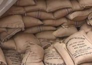 ঈদুল আজহায় দেড় কোটি পরিবার পাবে ১০ কেজি করে চাল