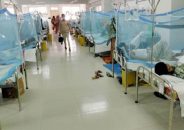 জুনের তিন সপ্তাহেই ডেঙ্গুতে ২৫ মৃত্যু