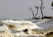 সাগরে সুস্পষ্ট লঘুচাপ: বৃষ্টি বেড়ে কমতে পারে তাপমাত্রা