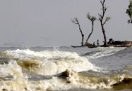 সাগরে সুস্পষ্ট লঘুচাপ: বৃষ্টি বেড়ে কমতে পারে তাপমাত্রা