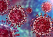 ৯২ জনের করোনা শনাক্ত