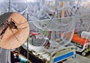 একদিনে ডেঙ্গুতে রেকর্ড ৮ জনের মৃত্যু