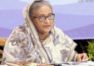 ডেঙ্গু থেকে বাঁচতে নিজেদেরই সচেতন হতে হবে: প্রধানমন্ত্রী