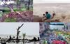 জলবায়ুর পরিবর্তনে দুর্যোগ ঝুঁকিতে উপকূলীয় কলাপাড়ায় কৃষি ও জেলে পেশায় ভয়াবহ সংকট
