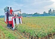 বাংলাদেশের জলবায়ু পরিবর্তনে অসাধারণ অর্জন