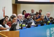 ব্রাজিলের যুগান্তকারী বন সংরক্ষণ তহবিল আর্থশট পুরস্কারের ফাইনালে পৌঁছেছে